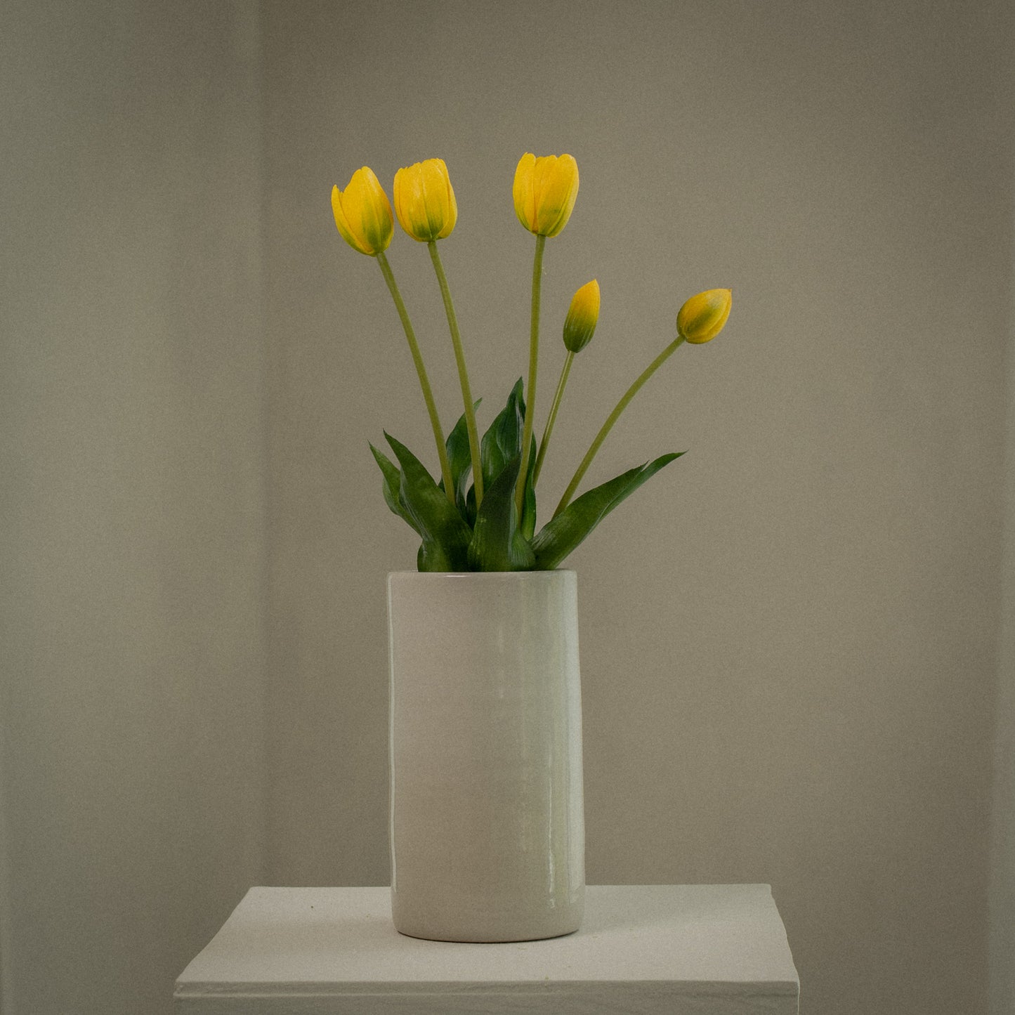 Tulipes - Lot avec 5 fleurs