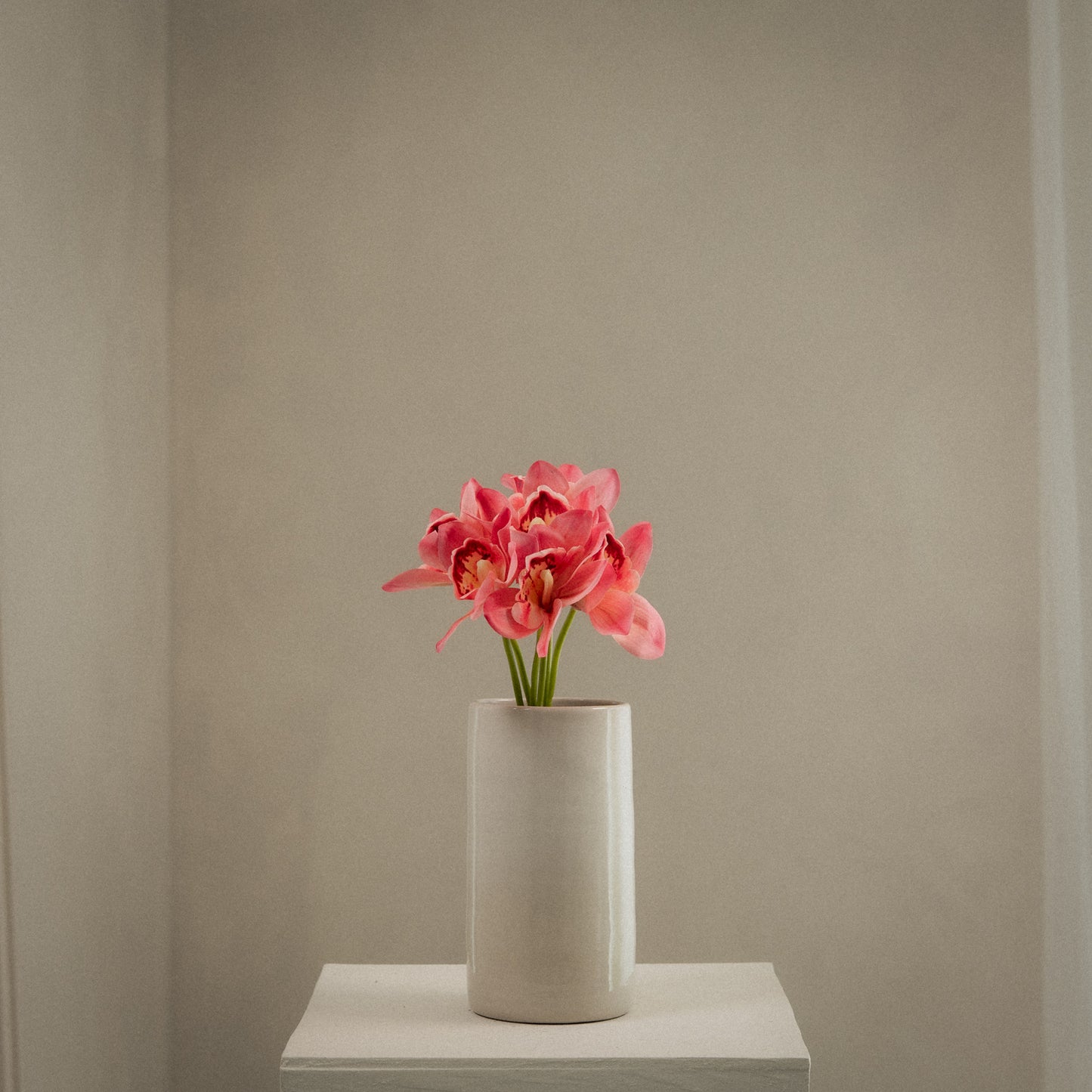 Bouquet d’orchidées - 6 fleurs