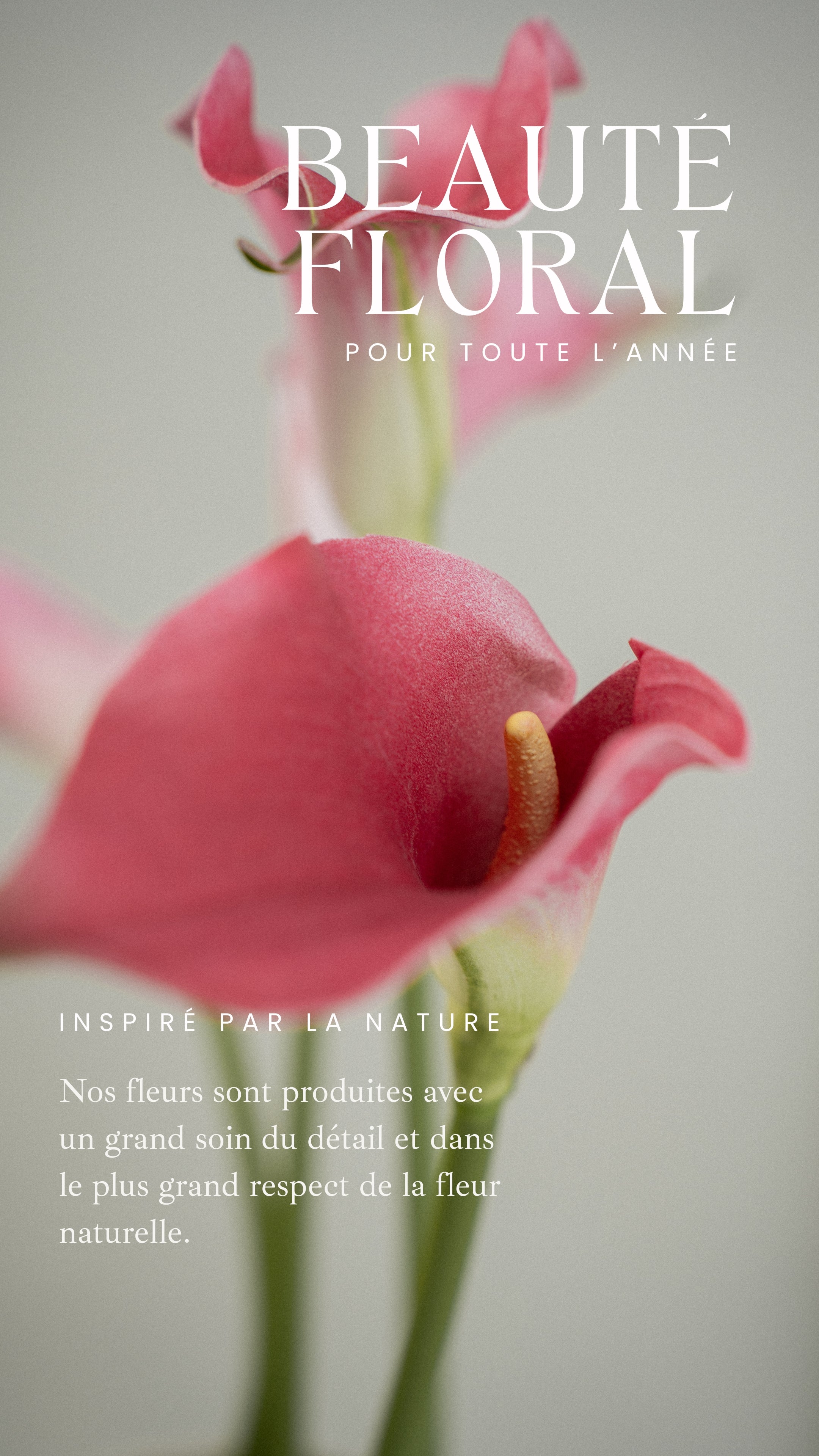 <p>Notre vision</p>