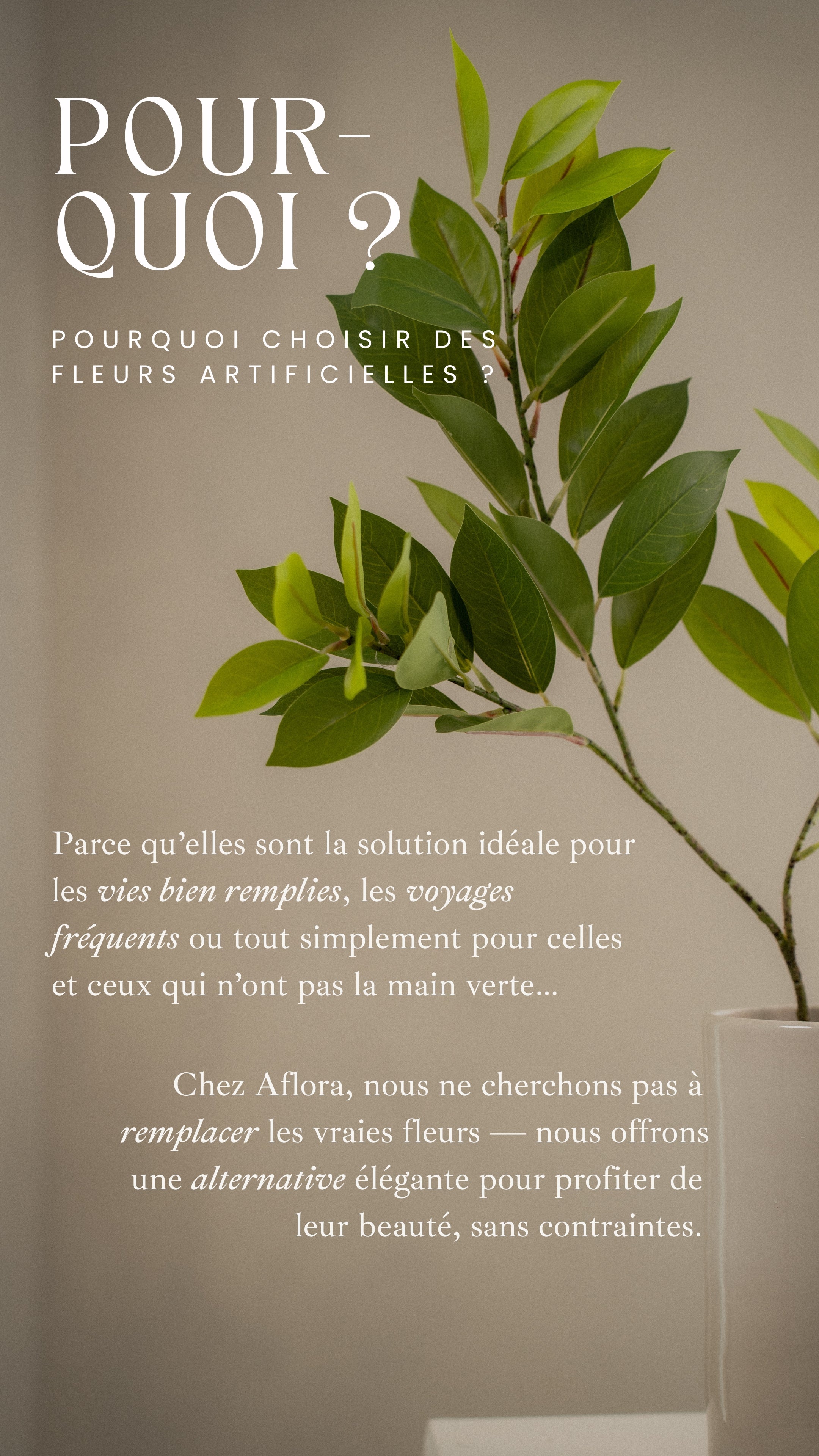 <p>Notre vision</p>