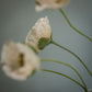 Tige de coquelicots artificiels à 5 fleurs