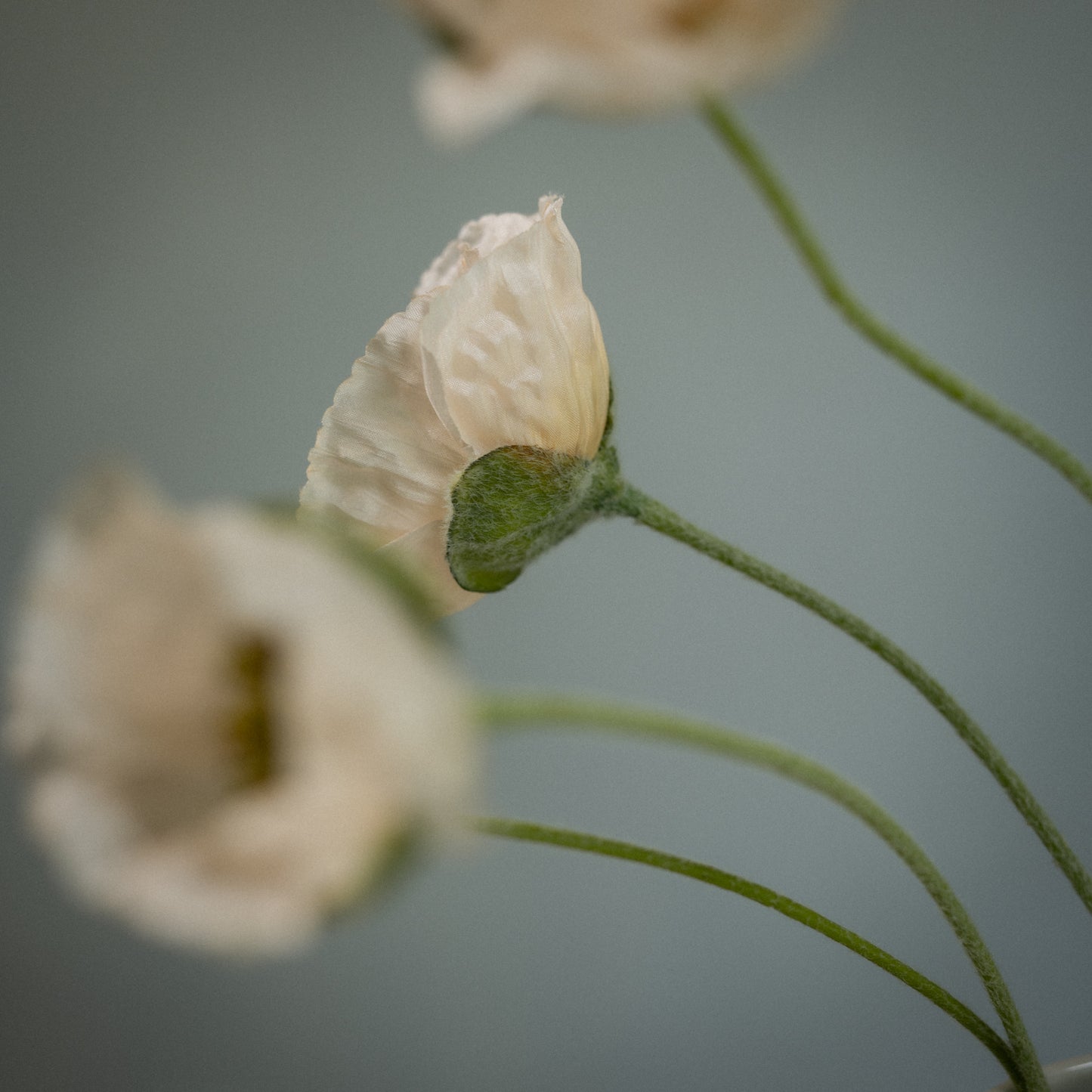 Tige de coquelicots artificiels à 5 fleurs