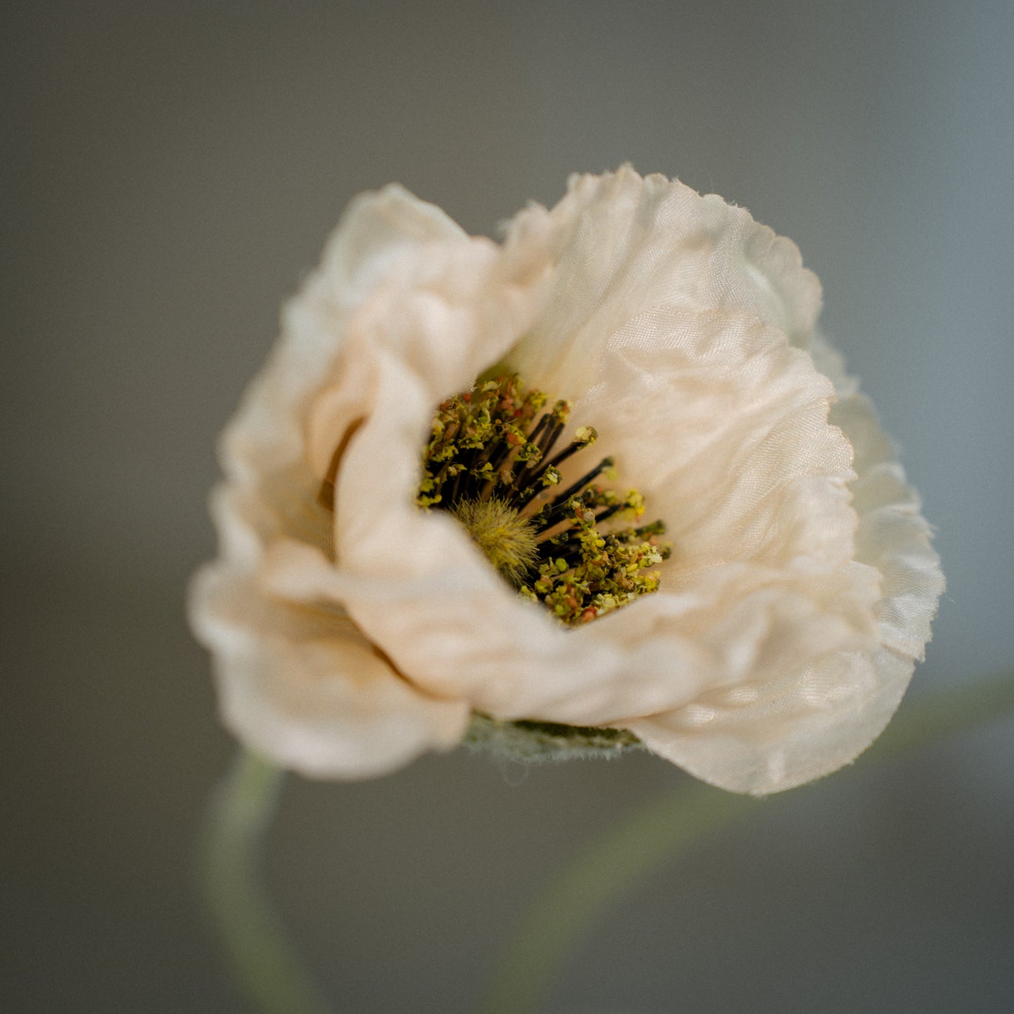 Tige de coquelicots artificiels à 5 fleurs