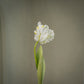 Tulipe perroquet deluxe artificielle - 1pc
