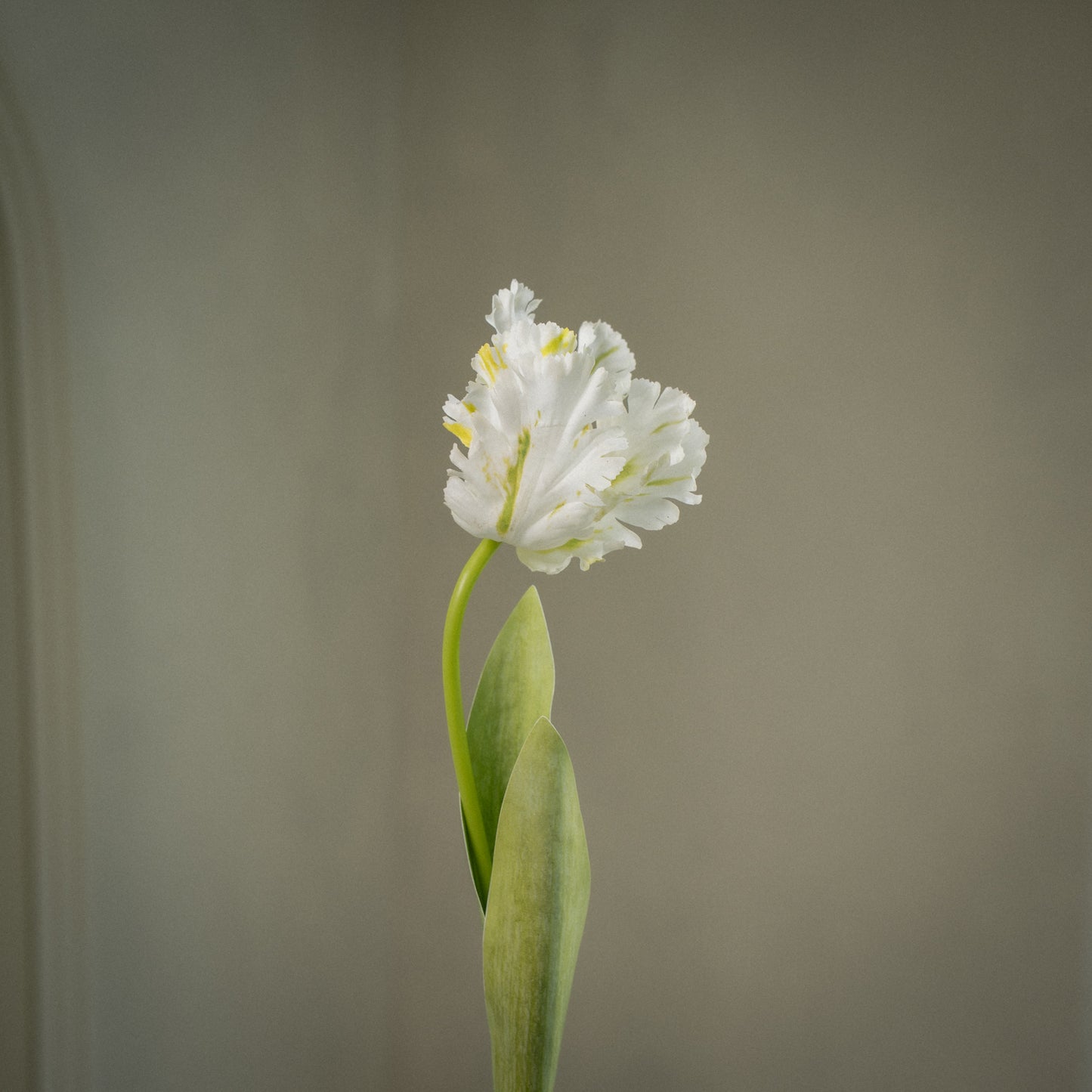 Tulipe perroquet deluxe artificielle - 1pc