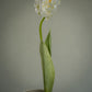 Tulipe perroquet deluxe artificielle - 1pc