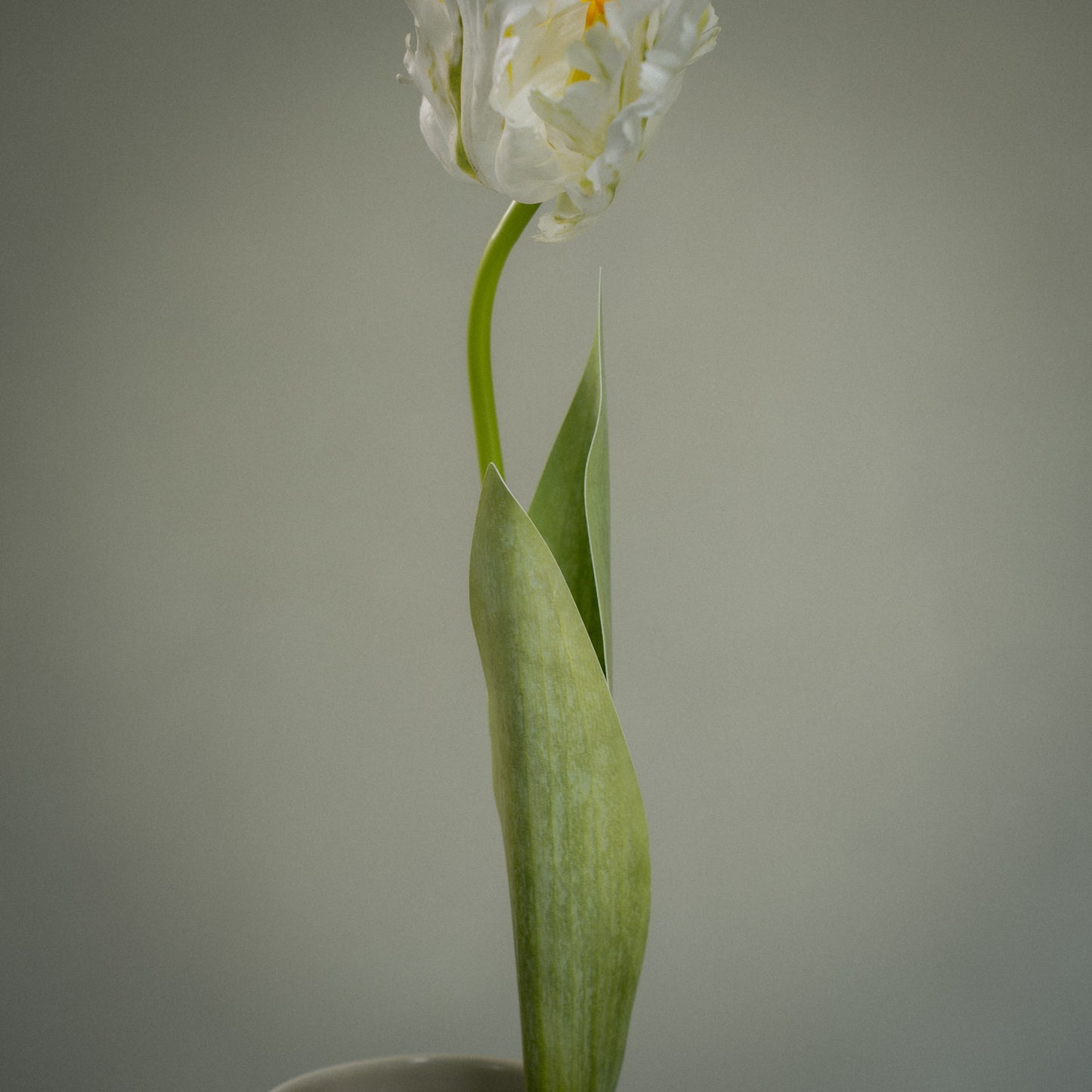 Tulipe perroquet deluxe artificielle - 1pc