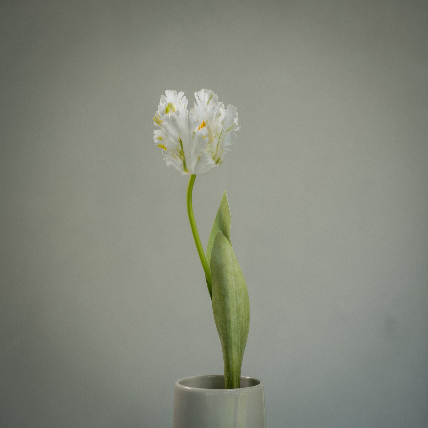 Tulipe perroquet deluxe artificielle - 1pc