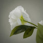 Pivoine artificielle double tête réaliste - 1pc