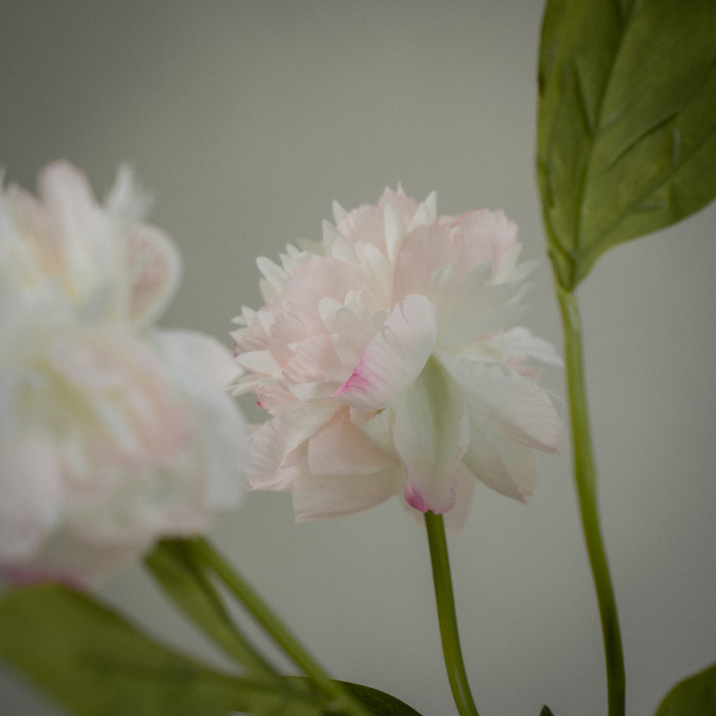 Pivoine artificielle double tête réaliste - 1pc
