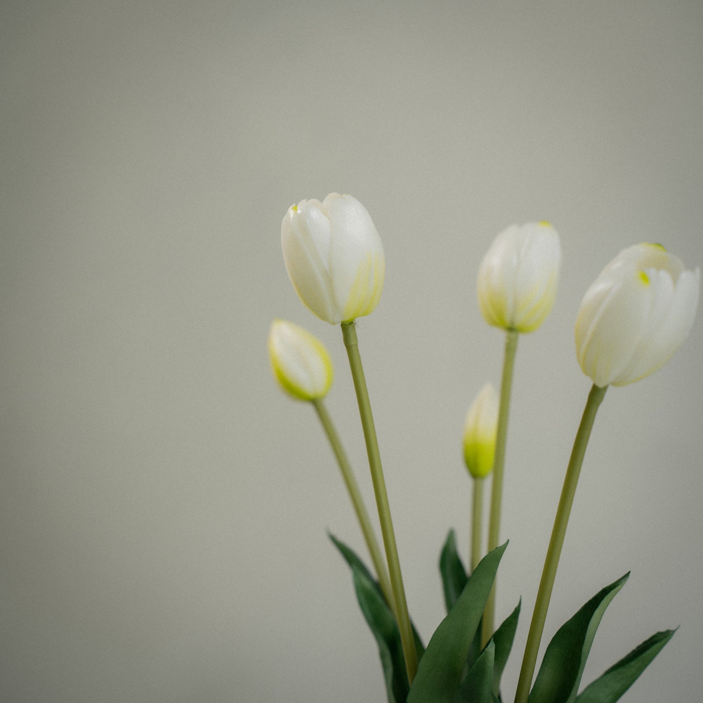 Tulipes artificielles réalistes - Lot de 5 tulips