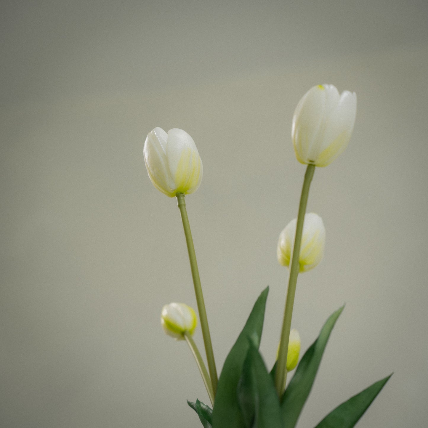 Tulipes artificielles réalistes - Lot de 5 tulips