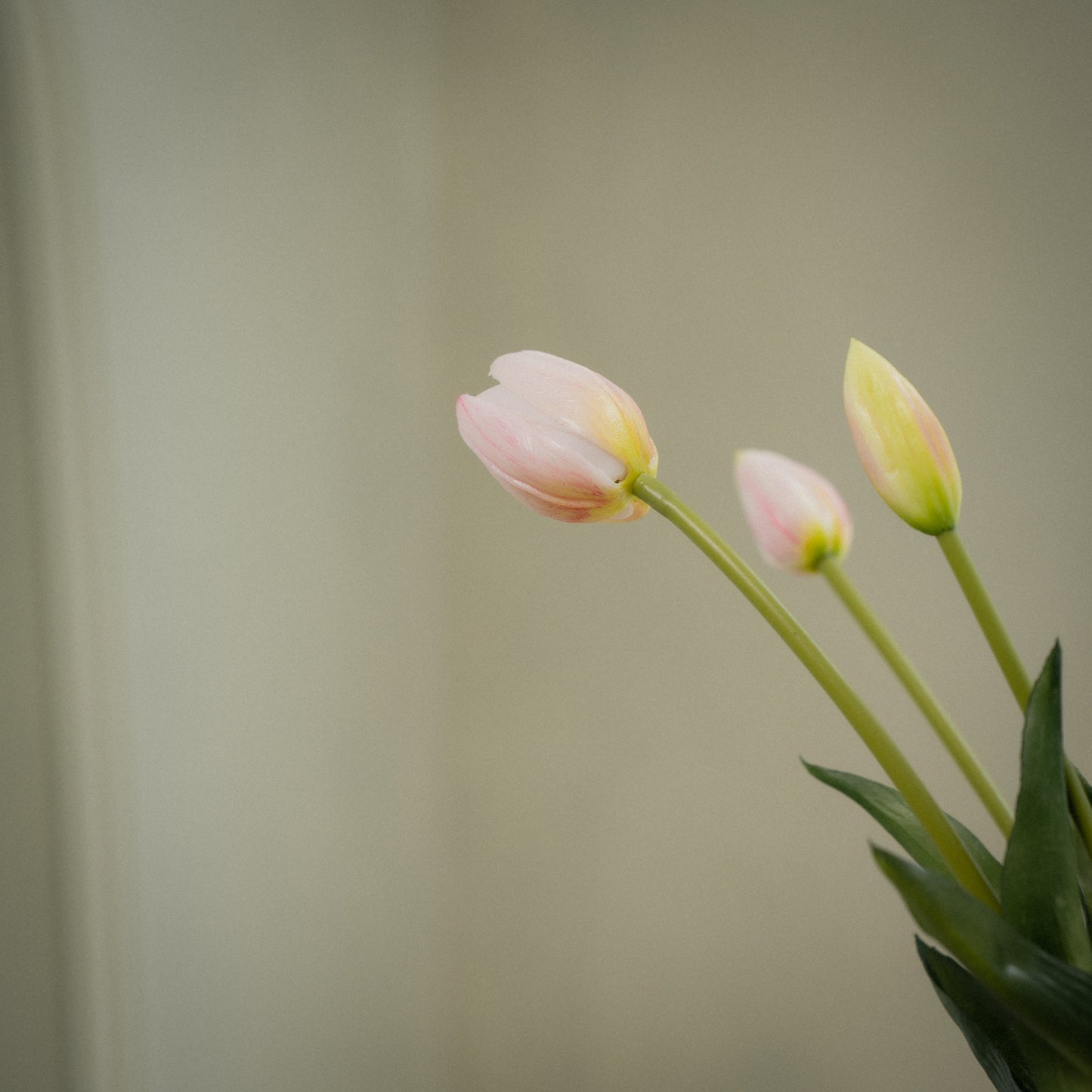 Tulipes artificielles réalistes - Lot de 5 tulips