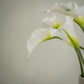 Lot de grandes callas artificielles magnifiques - 5pcs