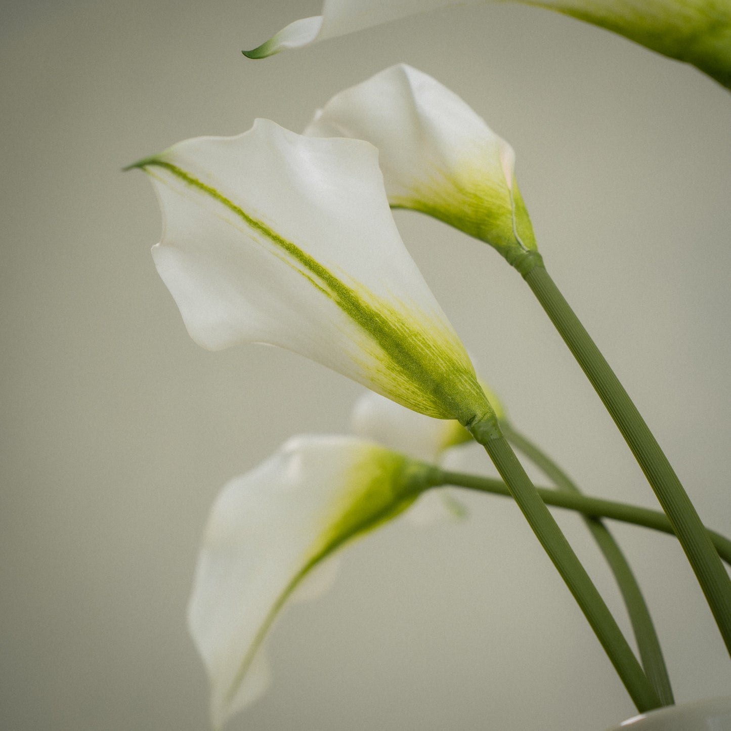 Lot de grandes callas artificielles magnifiques - 5pcs