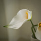Lot de grandes callas artificielles magnifiques - 5pcs