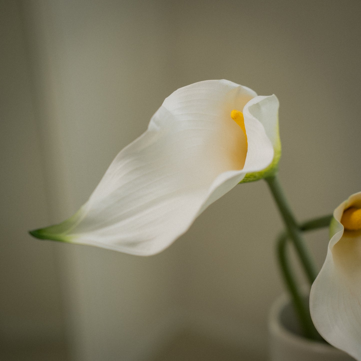Lot de grandes callas artificielles magnifiques - 5pcs