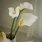 Lot de grandes callas artificielles magnifiques - 5pcs