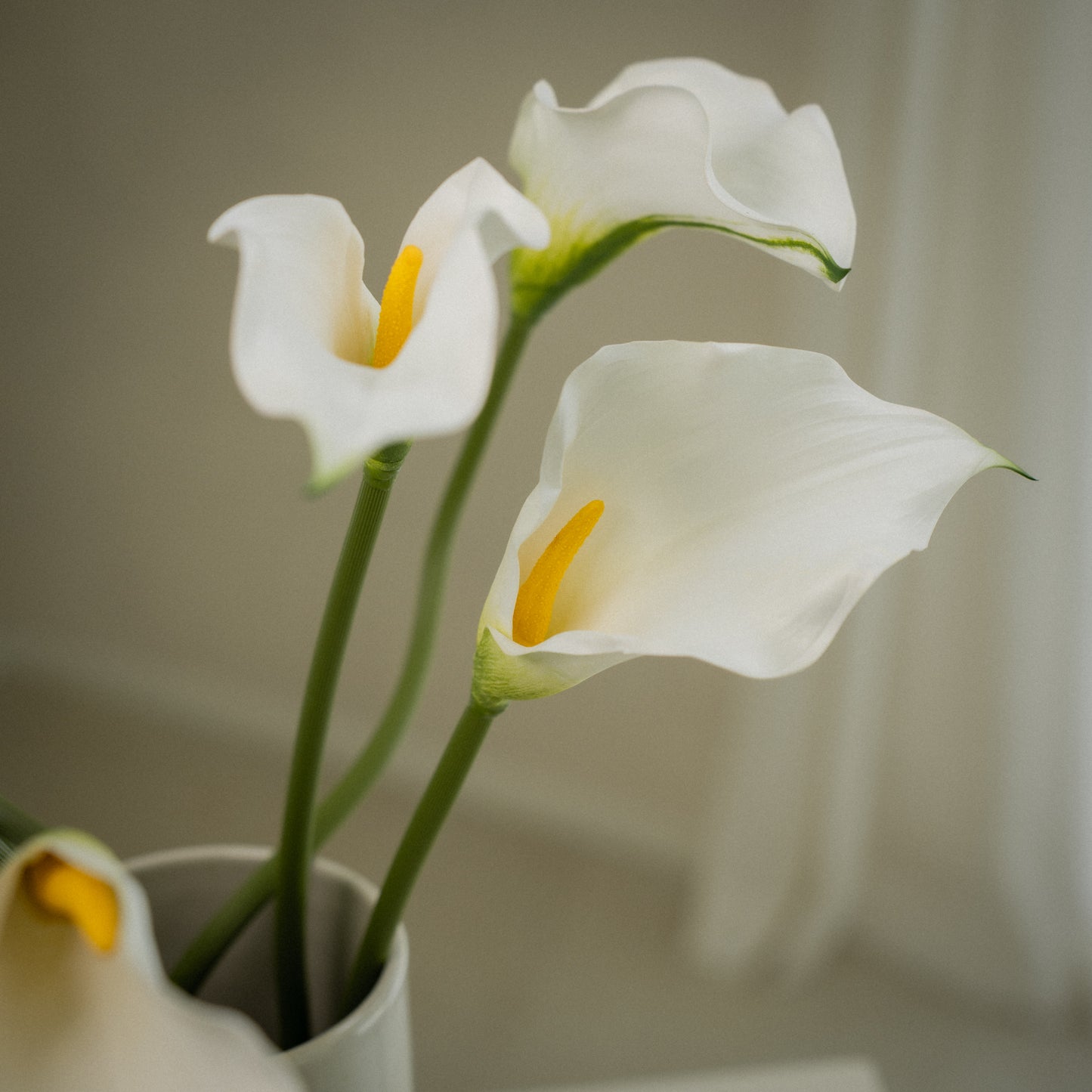 Lot de grandes callas artificielles magnifiques - 5pcs