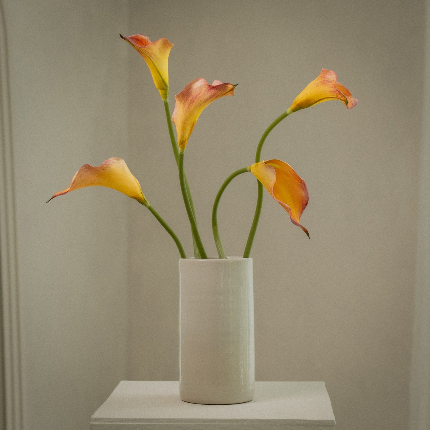 Lot de grandes callas artificielles magnifiques - 5pcs