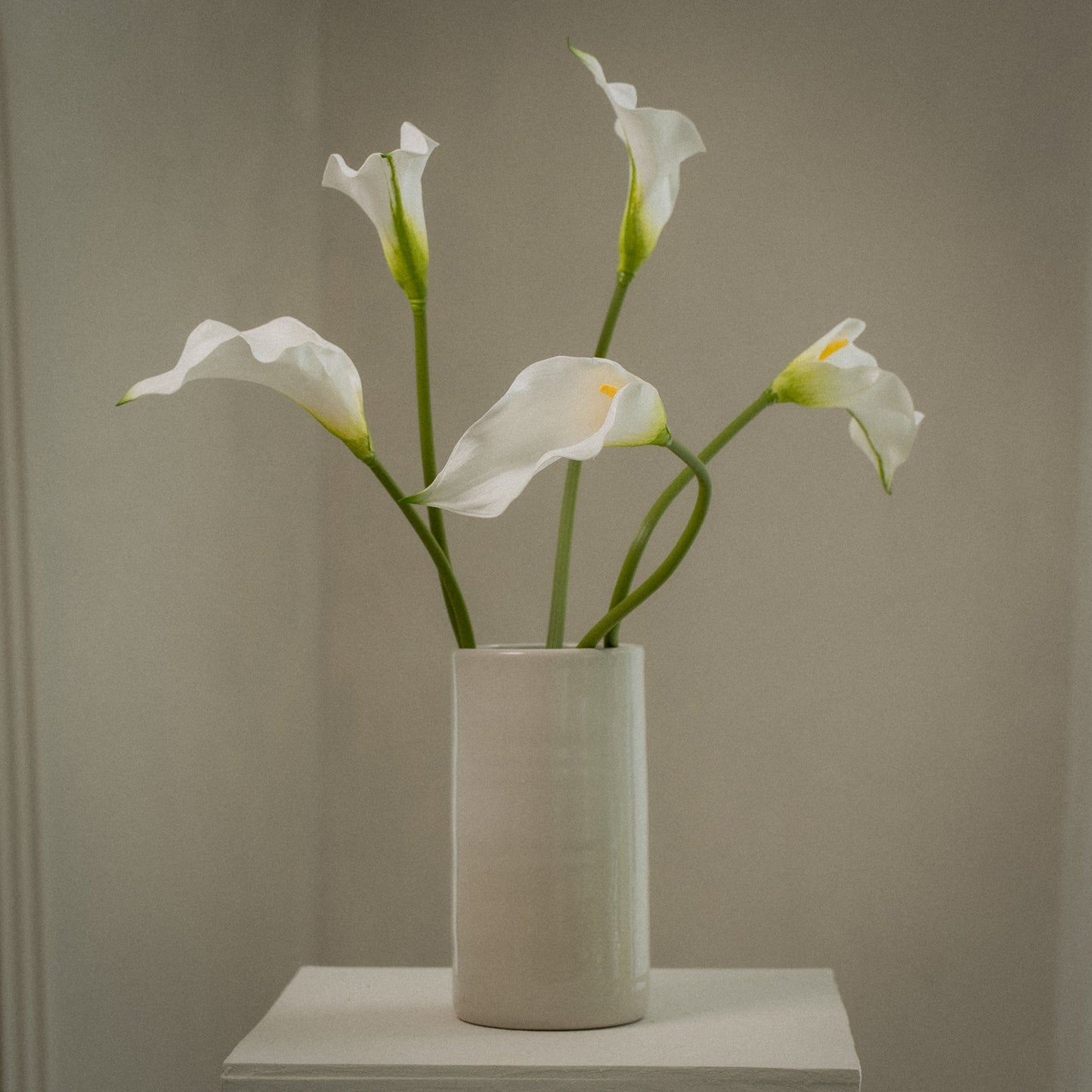 Lot de grandes callas artificielles magnifiques - 5pcs