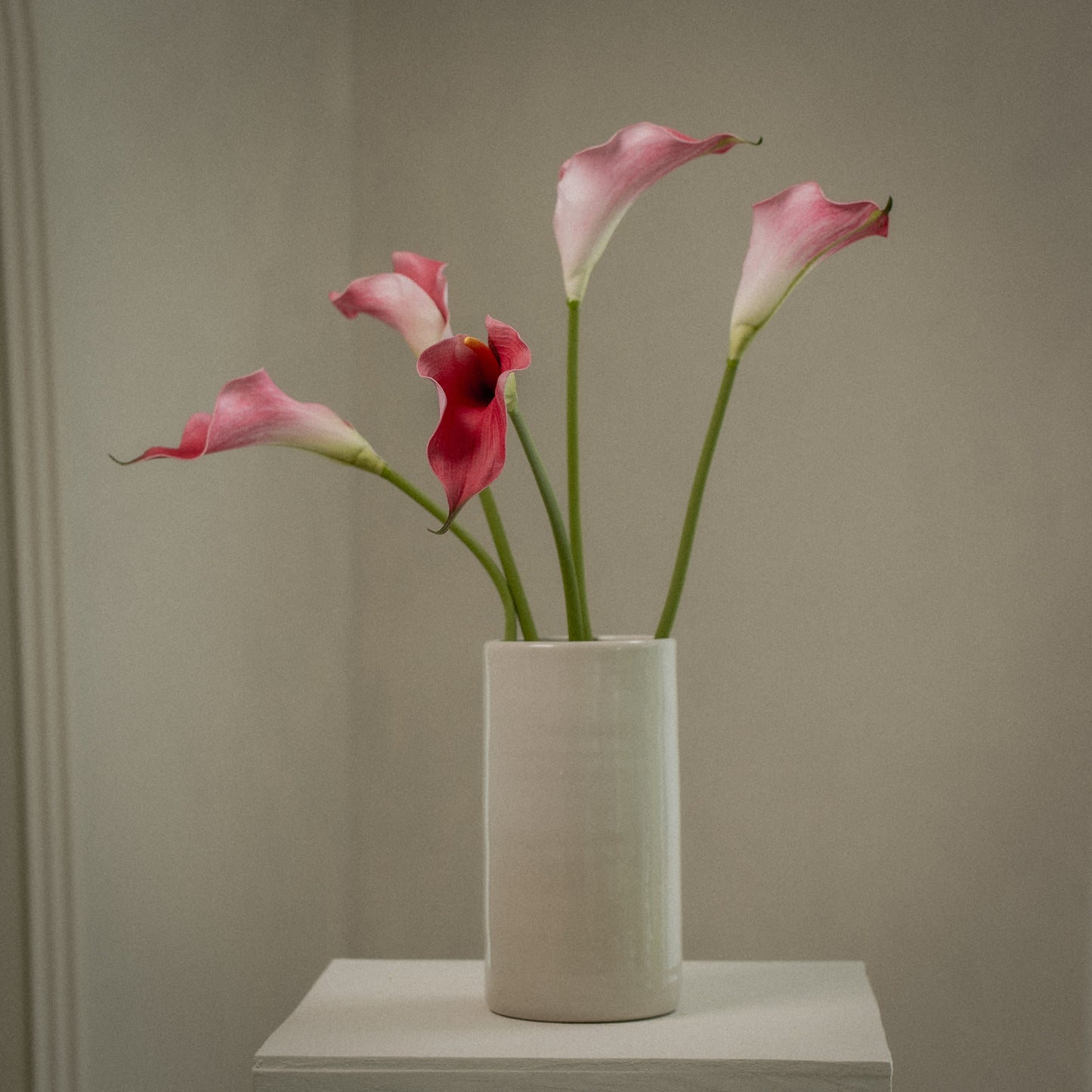 Lot de grandes callas artificielles magnifiques - 5pcs