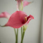 Lot de grandes callas artificielles magnifiques - 5pcs