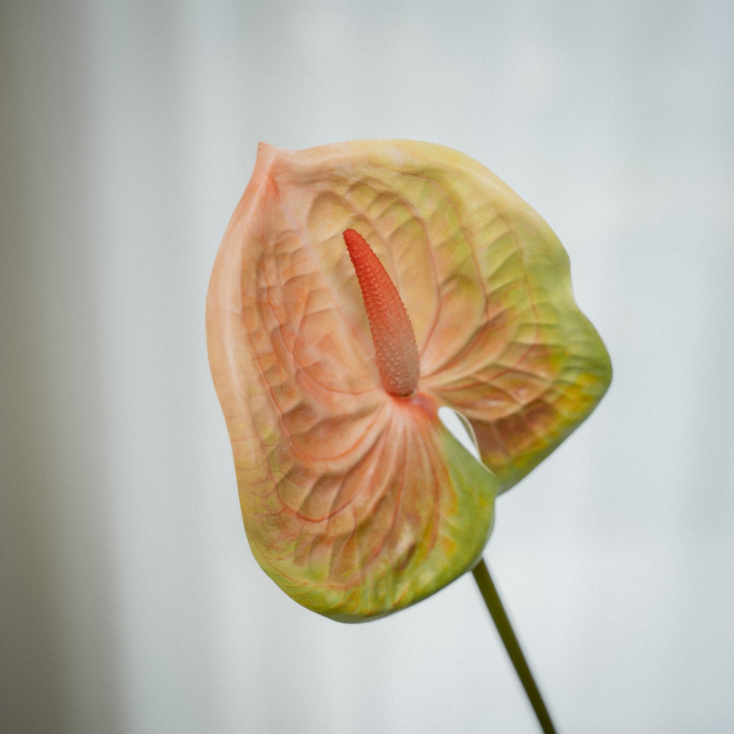 Grande Anthurium artificiel tige unique