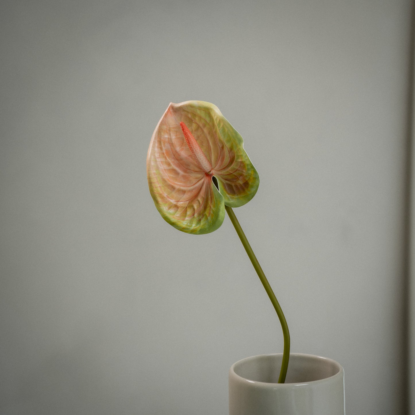 Grande Anthurium artificiel tige unique