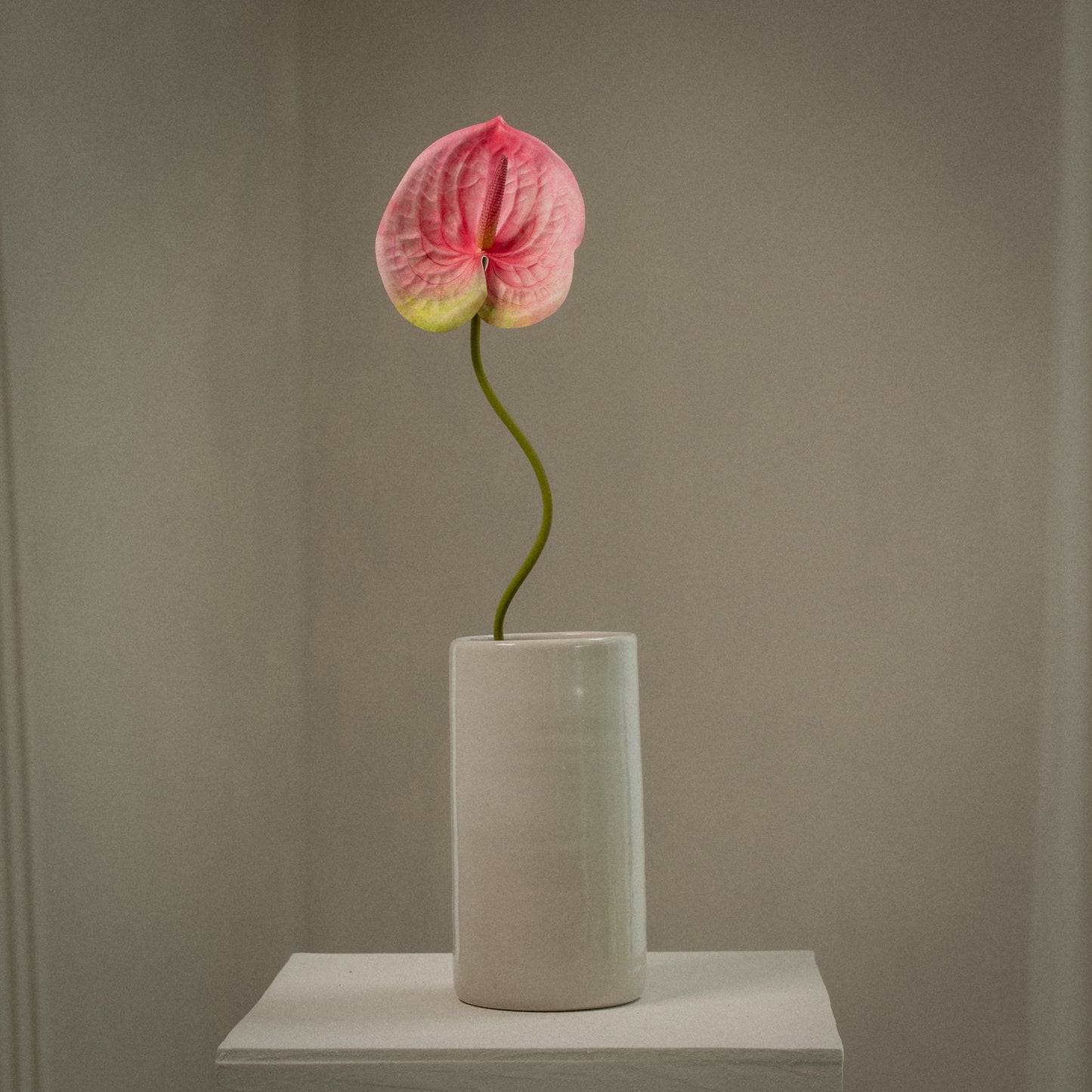 Grande Anthurium artificiel tige unique