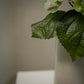 Grande fleur d’hortensia artificielle - 1pc