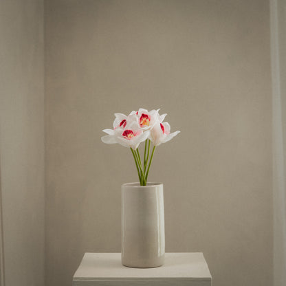 Bouquet d’orchidées - 6 fleurs