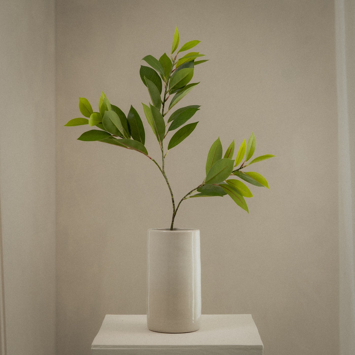 Grande branche de ruscus artificiel - 1pc