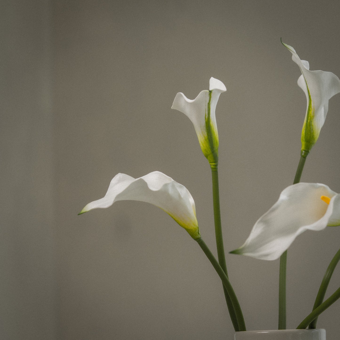 Lot de grandes callas artificielles magnifiques - 5pcs