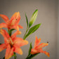 Grande tige de lys artificiel à 4 fleurs