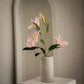 Tige de lys - 4 fleurs