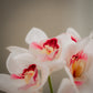 Petit bouquet d’orchidées artificielles - 6 fleurs