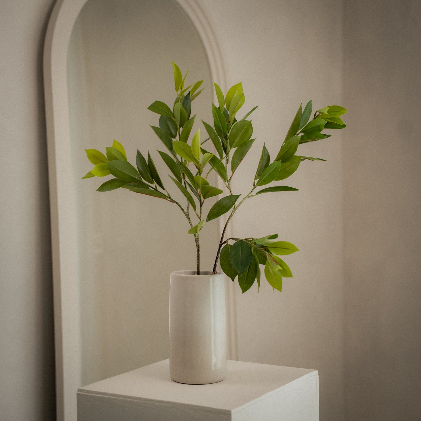 Grande branche de ruscus artificiel - 1pc