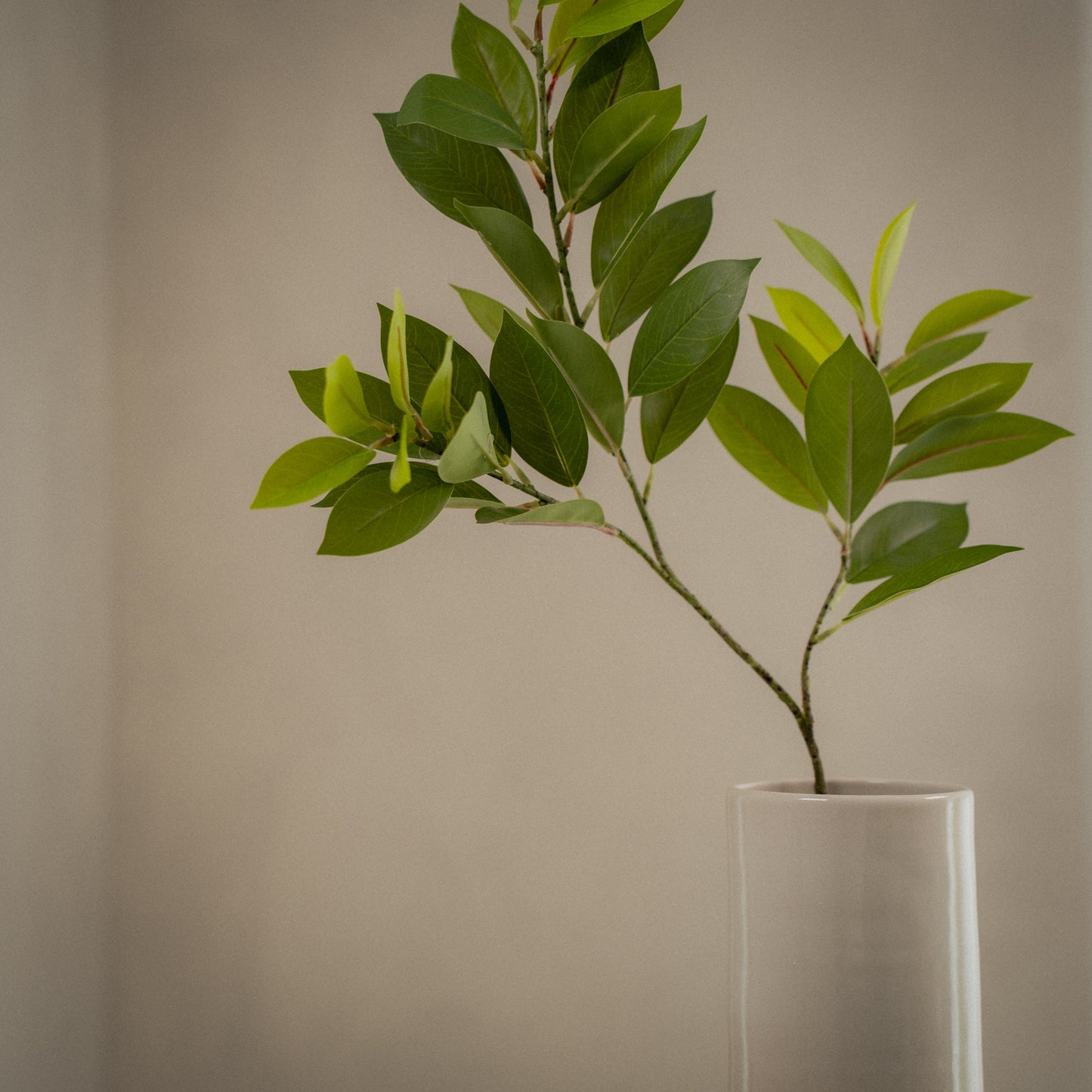 Grande branche de ruscus artificiel - 1pc