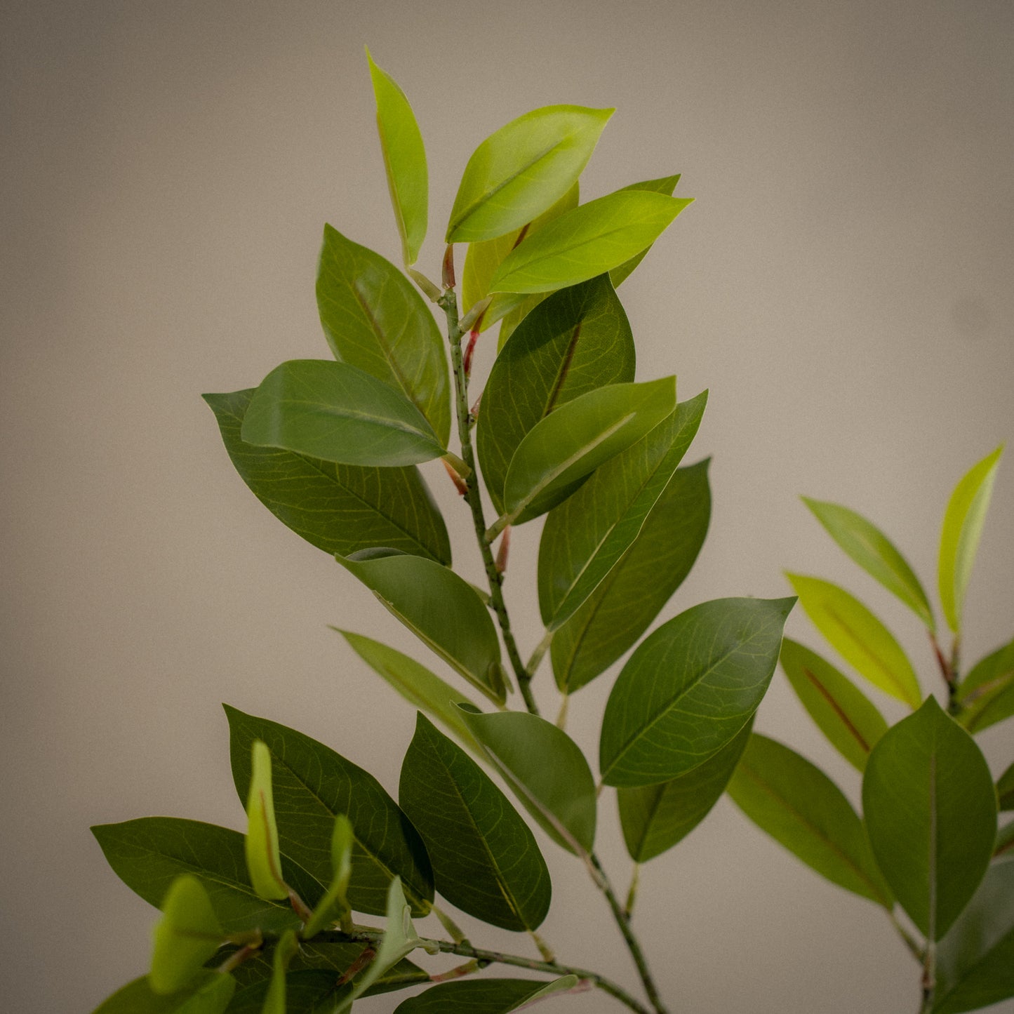 Grande branche de ruscus artificiel - 1pc