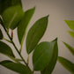 Grande branche de ruscus artificiel - 1pc