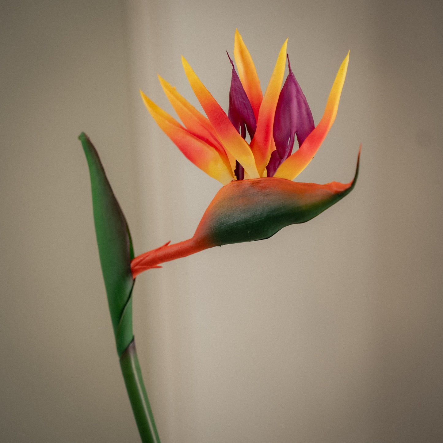 Grande fleur d'oiseau de paradis artificielle - 1pc