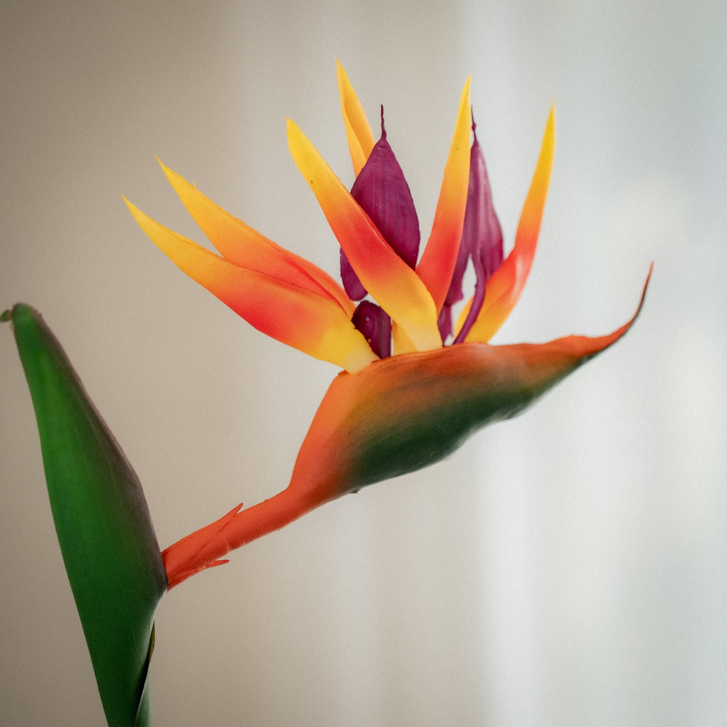 Grande fleur d'oiseau de paradis artificielle - 1pc