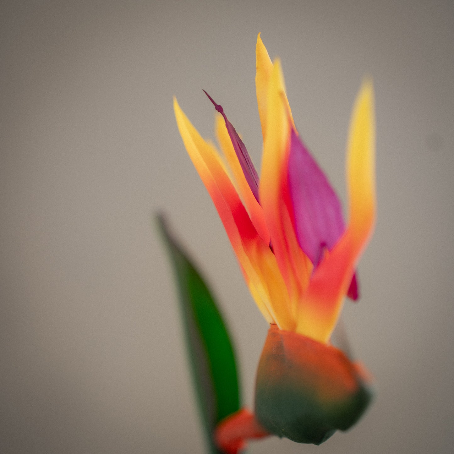 Grande fleur d'oiseau de paradis artificielle - 1pc