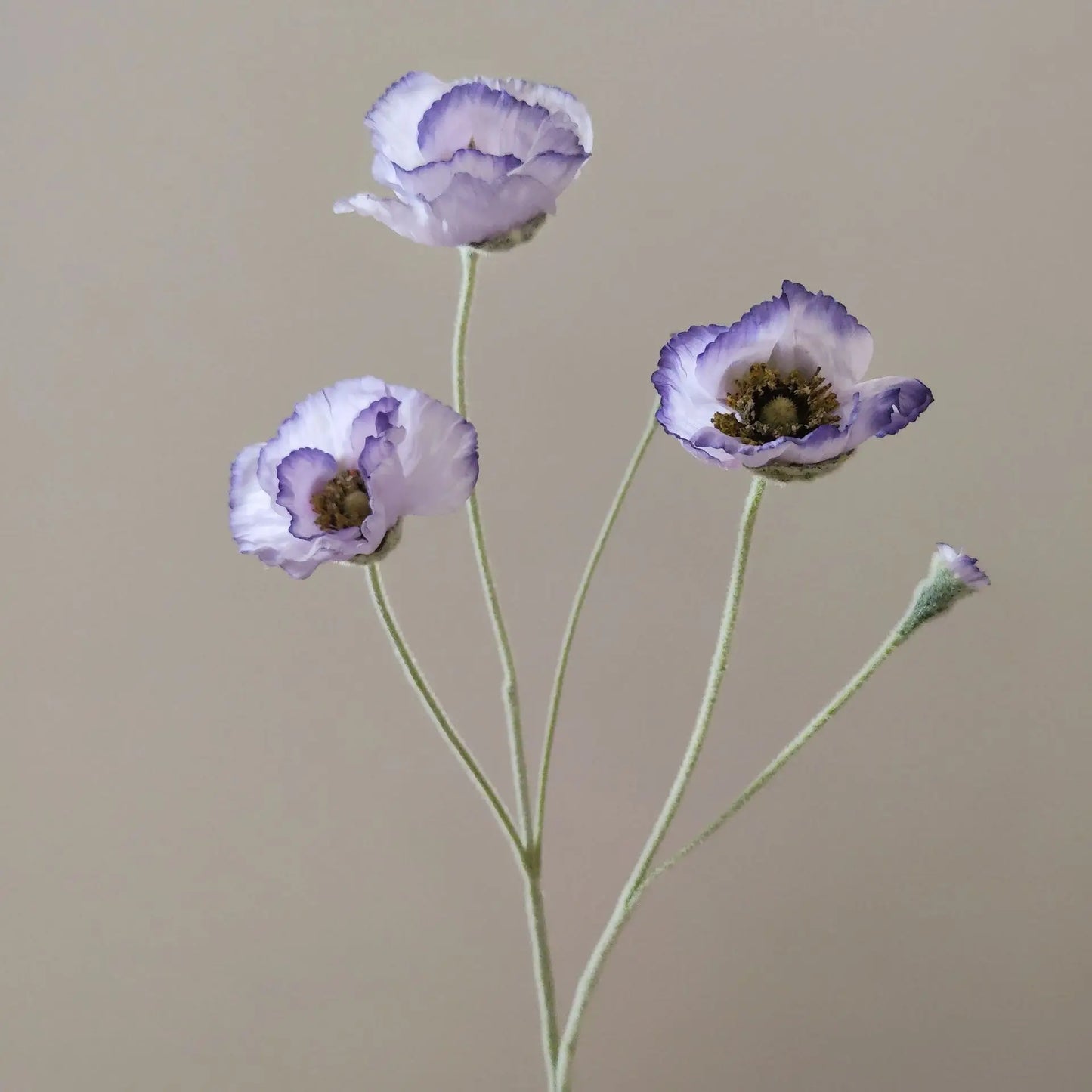 Tige de coquelicots artificiels à 5 fleurs
