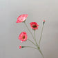 Tige de coquelicots artificiels à 5 fleurs