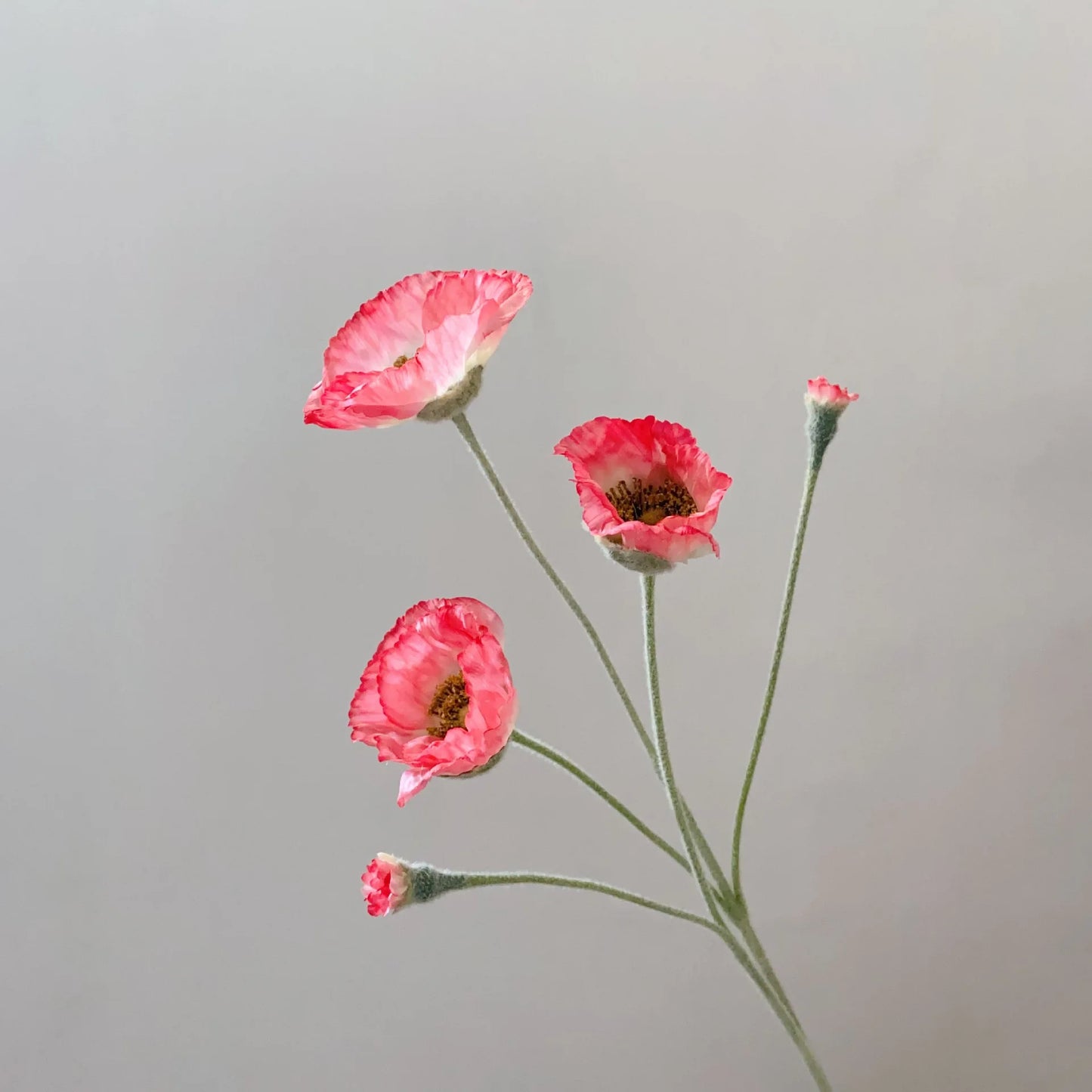 Tige de coquelicots artificiels à 5 fleurs