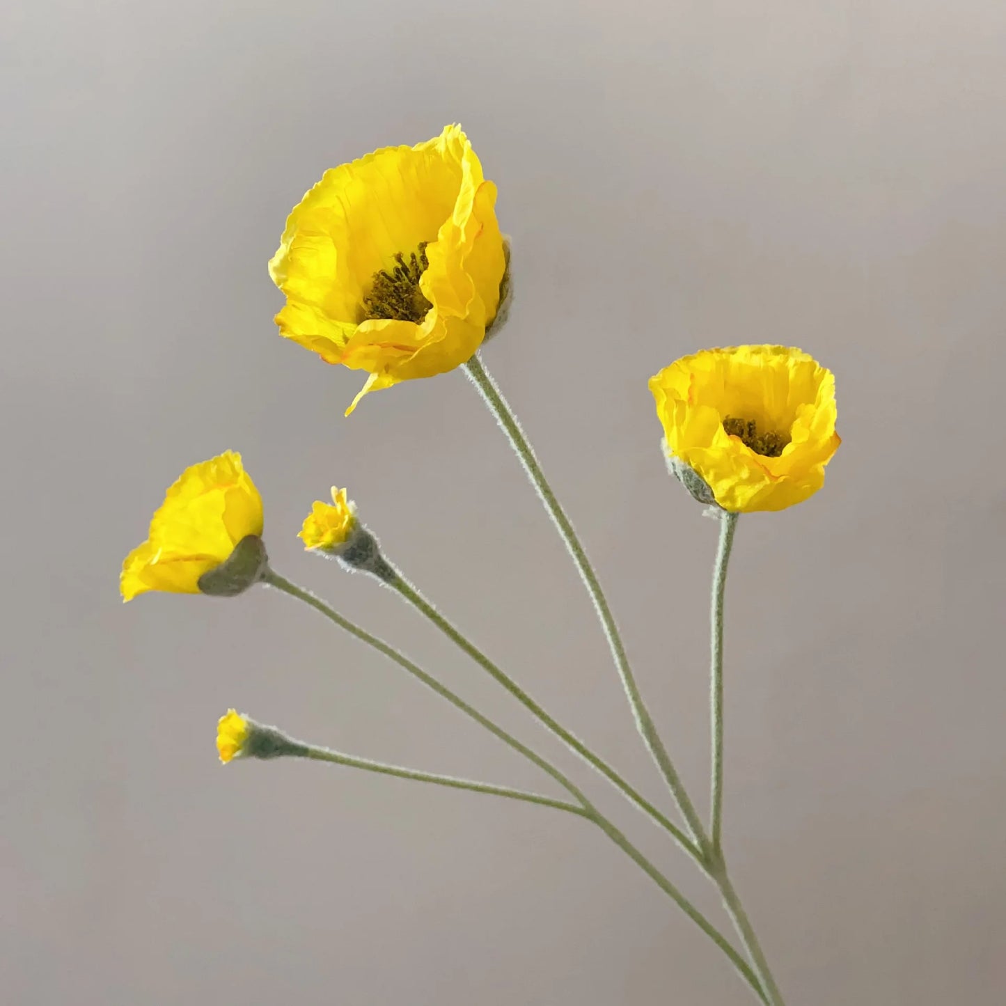Tige de coquelicots artificiels à 5 fleurs
