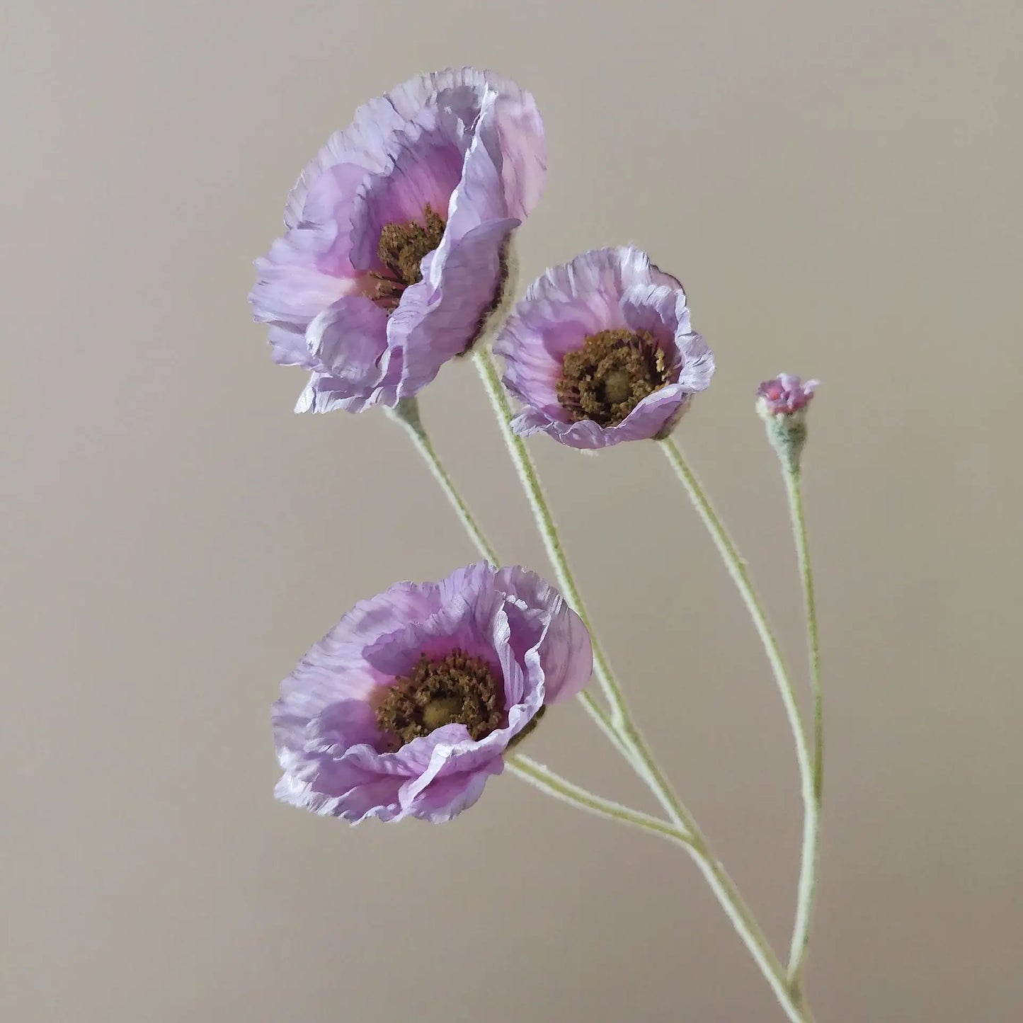 Tige de coquelicots artificiels à 5 fleurs